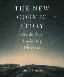 The New Cosmic Story: Inside Our Awakening Universe (Review by Lowell Gustafson)