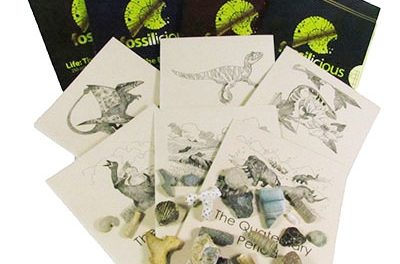 Young Paleontologist Book and Fossil Collection