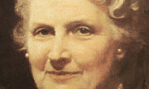Reflections on the Cosmic Task and its Relationship to the Great Work