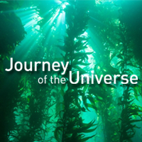 Homeostasis | Journey of the Universe Podcast