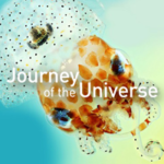 Synergy | Journey of the Universe Podcast