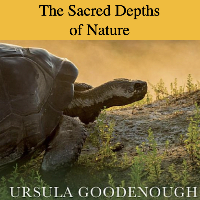 Book Celebration!  The Sacred Depths of Nature with Ursula Goodenough