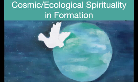 Cosmic/Ecological Spirituality in Formation
