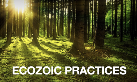 ECOZOIC PRACTICES (from the Creating Ecozoic Practices Course)