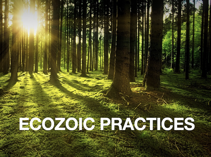 ECOZOIC PRACTICES (from the Creating Ecozoic Practices Course)