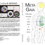 Meta Gaia:  An Expanded Hypothesis of a Living Earth and Solar System