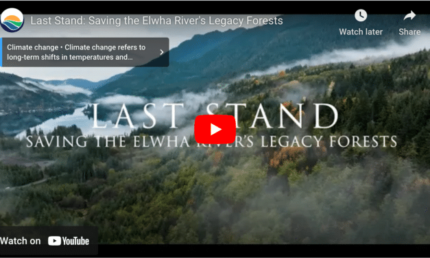 Climate Week Events