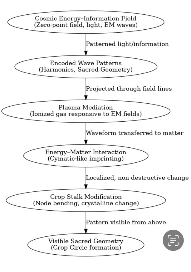 The Scientific Basis for Christogenesis, Part 3