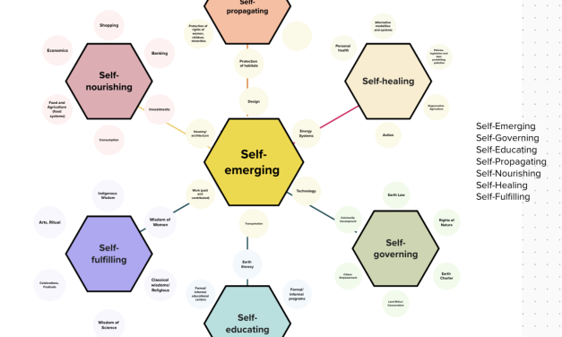 Seven Selves Mind Map