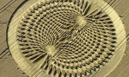 Christogenesis, Part 2: Grounding, The Bridge Between Spirituality and Science, Inner and Outer Worlds