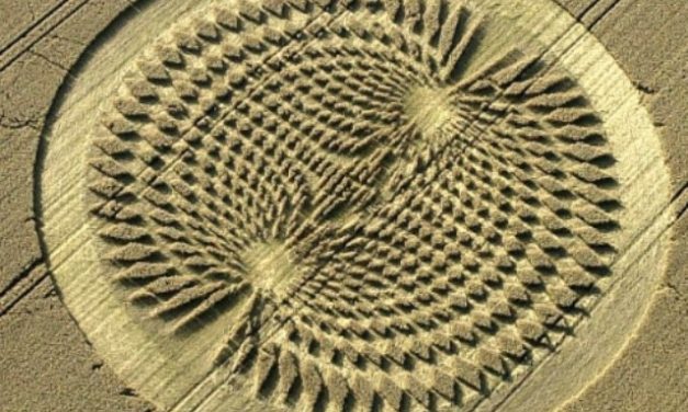 Christogenesis, Part 2: Grounding, The Bridge Between Spirituality and Science, Inner and Outer Worlds