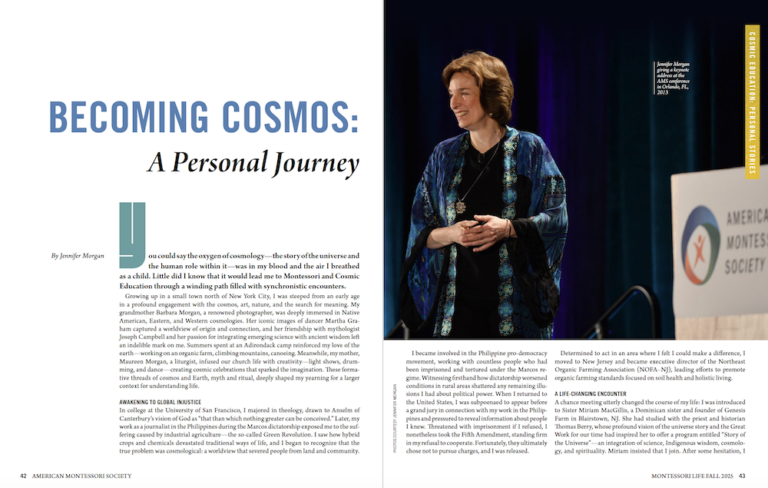 Becoming Cosmos, by Jennifer Morgan