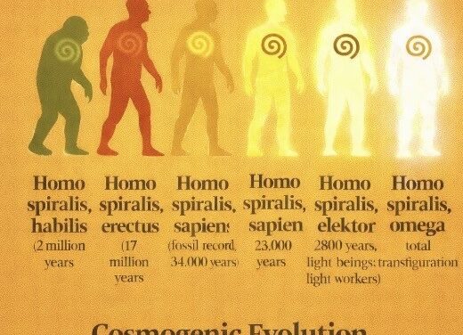Christogenesis, Part 7: The Advent of Homo spiralis