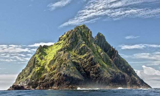 Living in Sync with Nature