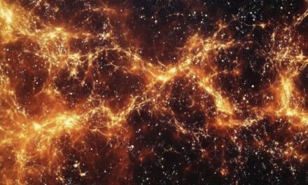 CMBR: The First Step in the Arc of Consciousness