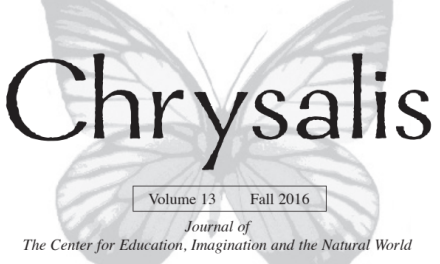 Re-imagining Montessori’s Great Lessons in the Light of Thomas Berry, Part 2: Cosmic Stories of Writing and Math