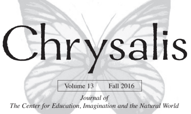 Re-imagining Montessori’s Great Lessons in the Light of Thomas Berry, Part 2: Cosmic Stories of Writing and Math