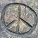 Profile picture of Anastasia Noll