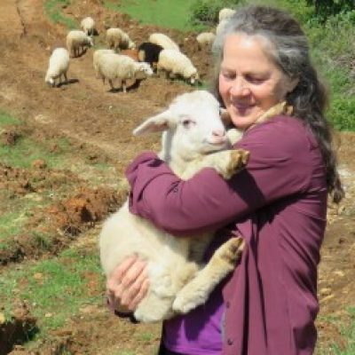 Profile picture of Jeanette McDermott