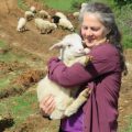 Profile picture of Jeanette McDermott